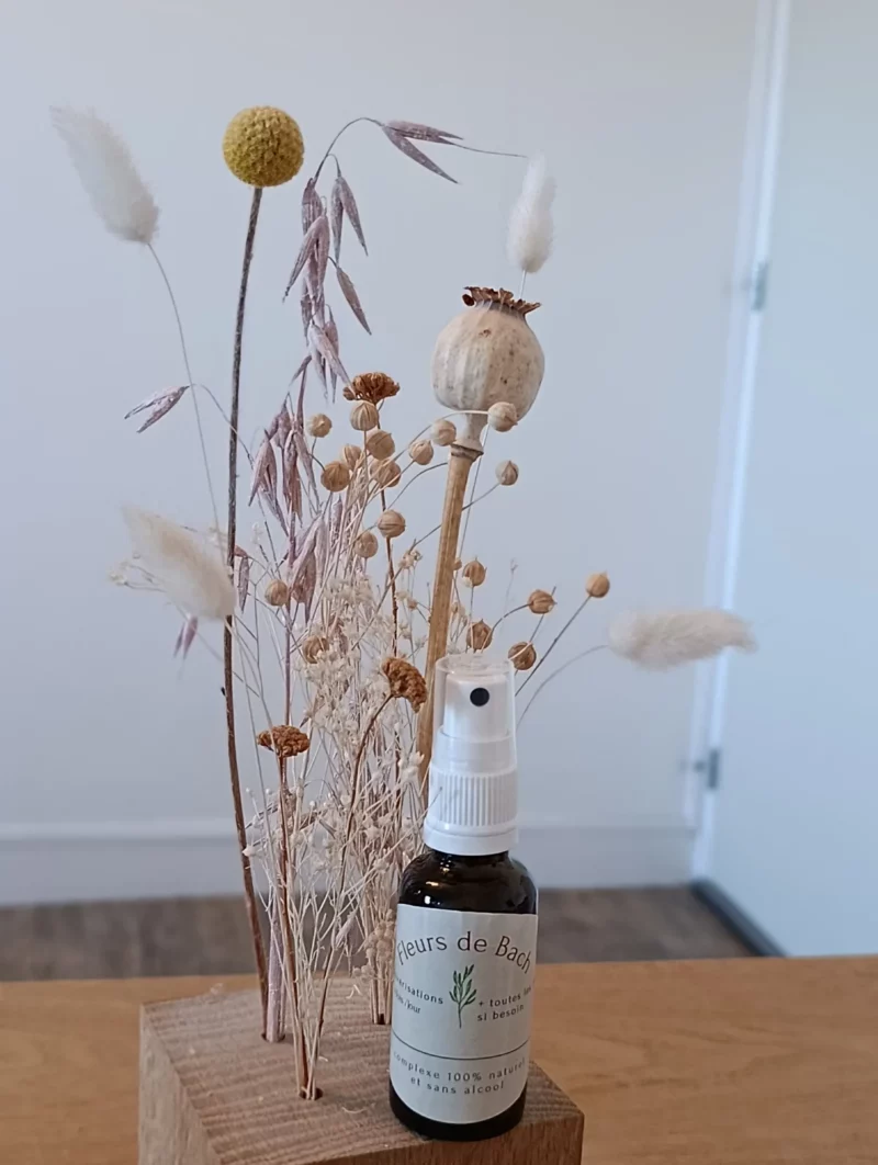 Qu’est-ce que les fleurs de bach – Elise au Mans vous répond Qu'est-ce que les fleurs de bach - Elise au Mans vous répond